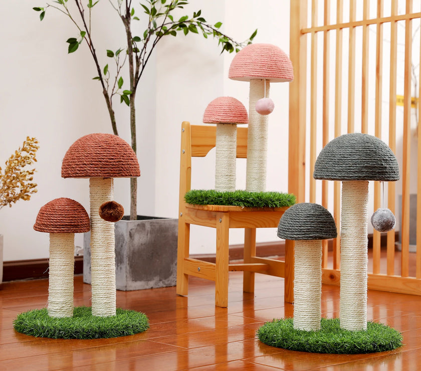 Cute Cactus Pet Cat Tree Toy with Ball Scratching Post for Cat Kitten Climbing Mushroom Condo Protecting Furniture Fast Delivery