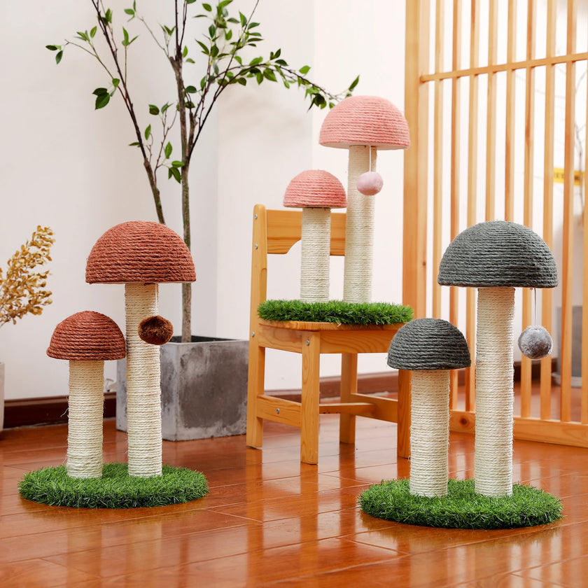 Cute Cactus Pet Cat Tree Toy with Ball Scratching Post for Cat Kitten Climbing Mushroom Condo Protecting Furniture Fast Delivery