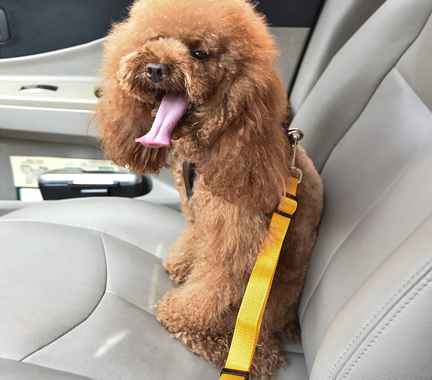 Adjustable Dog Cat Car Safety Belt Pet Vehicle Seat Belt Leash For Dogs Travel Traction Collar Harness Dog Lead Clip pet product