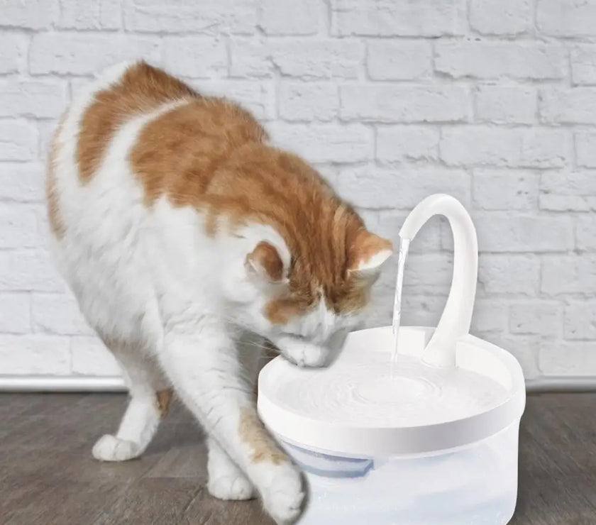 Pet Water Fountain Swan Neck Shaped Cat Water Dispenser Prevent Dry Burn Drinking Fountain 2L With LED Light Bird Dog Drink Bowl