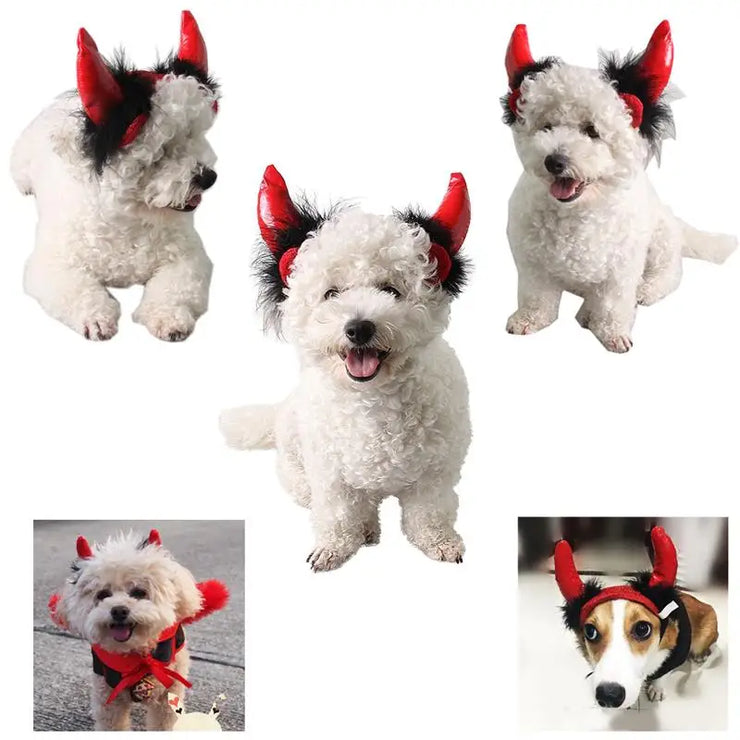 Halloween Pet Costumes Cute Cosplay Vampire Cloak Cat Dog Cap With Horns Kitten Puppy Cape Kawaii Pet Clothes Dog Accessoties