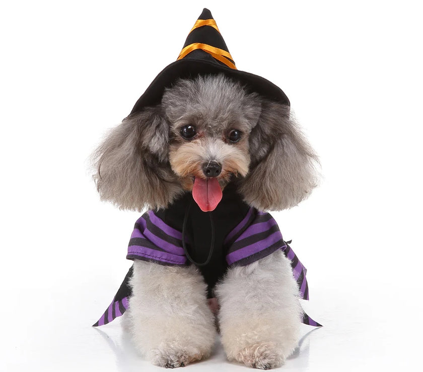 Funny Halloween Pet Cat Clothes For Small Dog Clothing Dress Up Outfit Cosplay Cat Costume Christmas Party Pet Supplies Dog Coat