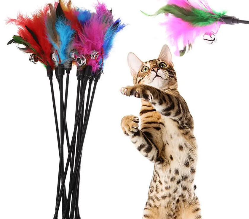 5pcs Funny Kitten Cat Teaser Interactive Toy Rod with Bell and Feather Toys For Pet Cats Stick Wire Chaser Wand Toy Random Color