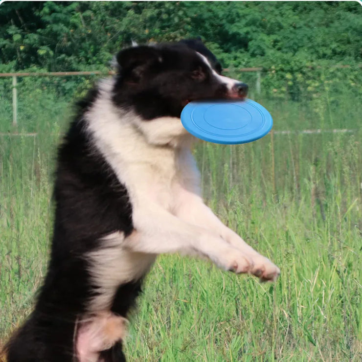 Durable Dog Frisbee (Fetch & Chew) | Flying Disc Toy (1 Pc)