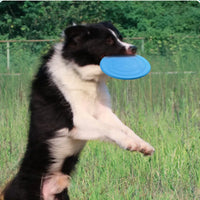 Durable Dog Frisbee (Fetch & Chew) | Flying Disc Toy (1 Pc)