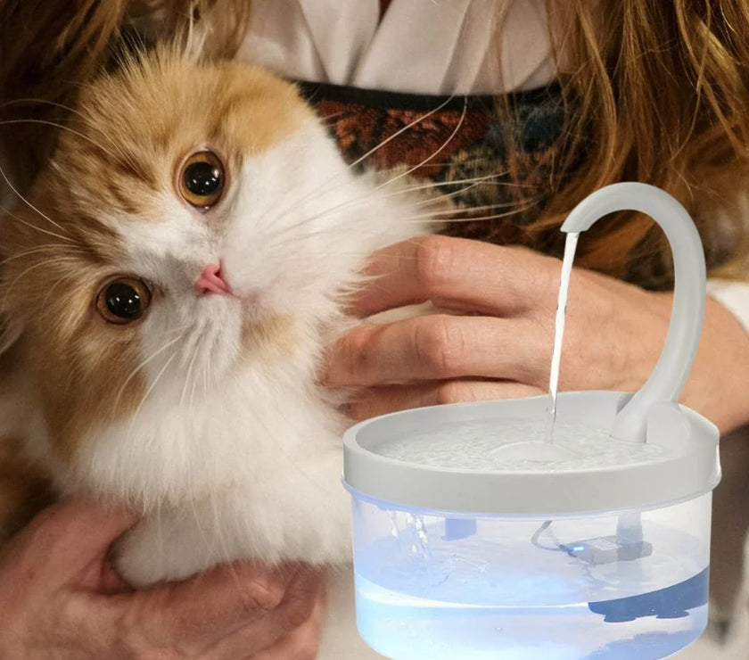 Pet Water Fountain Swan Neck Shaped Cat Water Dispenser Prevent Dry Burn Drinking Fountain 2L With LED Light Bird Dog Drink Bowl