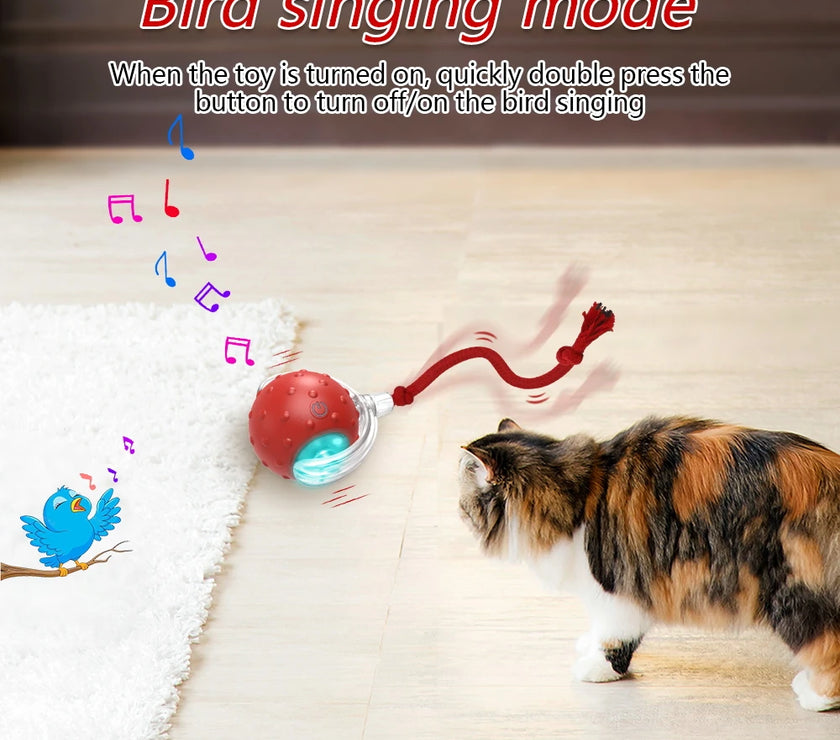 Smart Cat Toy with Motion-Activated Sensor