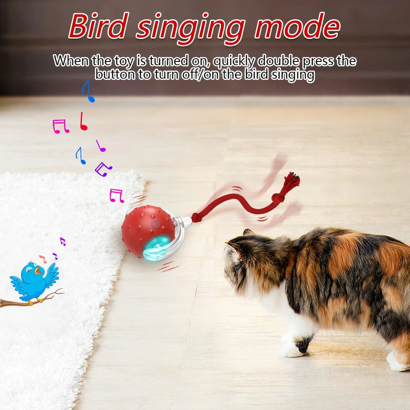 Smart Cat Toy with Motion-Activated Sensor