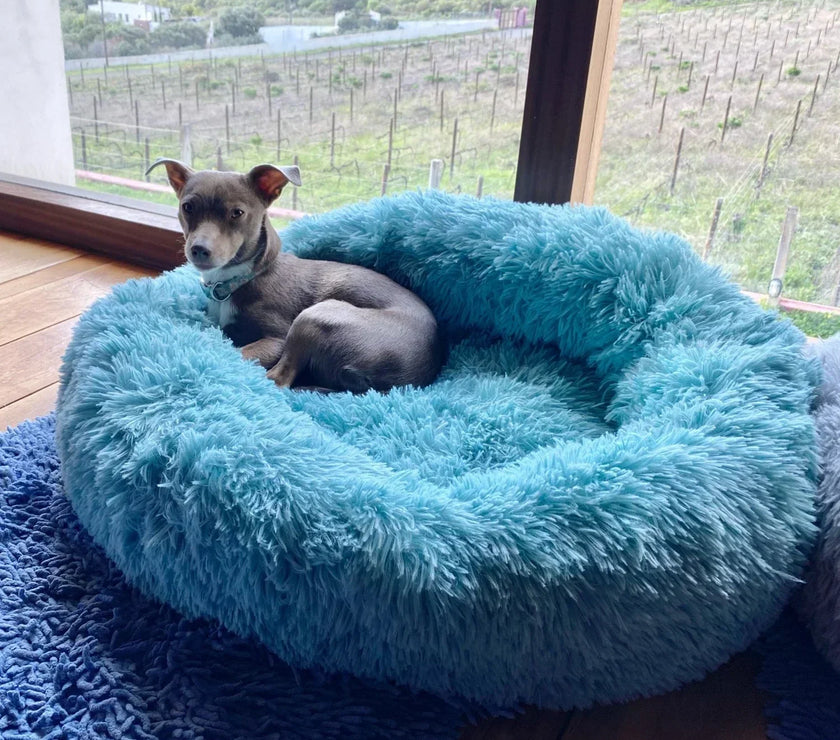 Soft Plush Pet Beds for a Restful Sleep