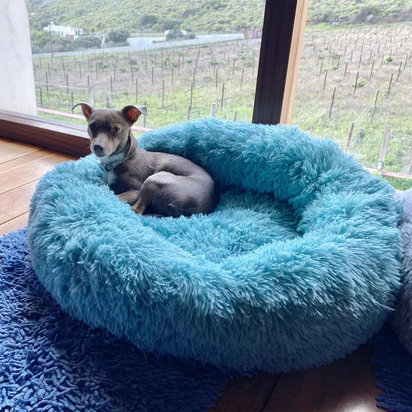 Soft Plush Pet Beds for a Restful Sleep