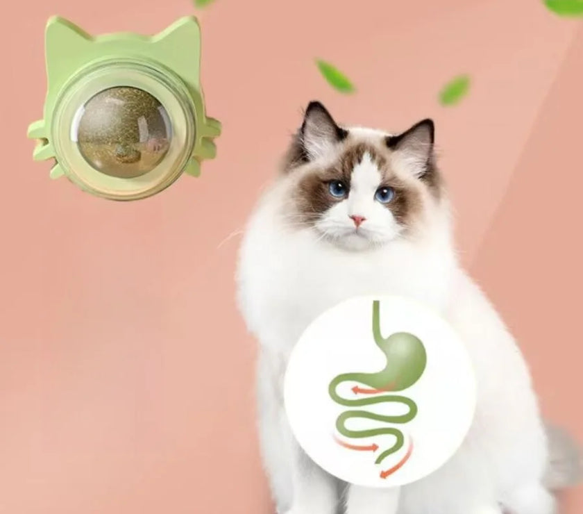 Interactive Cat Toy - Rotatable Catnip Ball