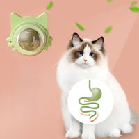 Interactive Cat Toy - Rotatable Catnip Ball