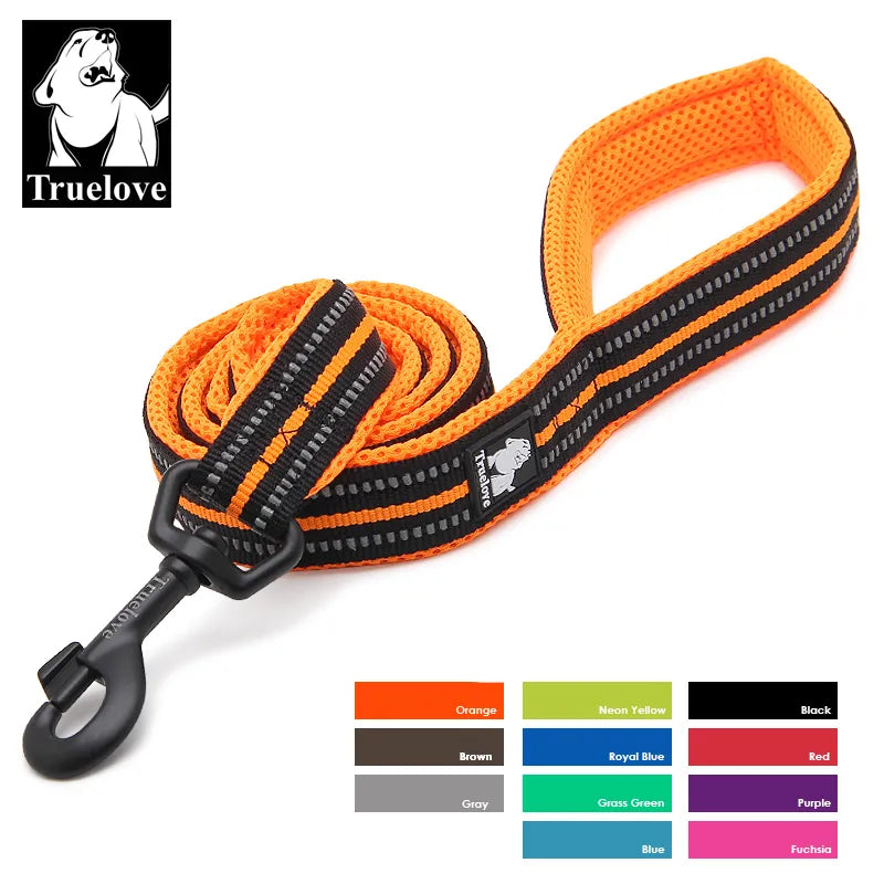 Reflective Dog Leash: Soft Mesh Padded for Comfort (2m) - Large Breeds