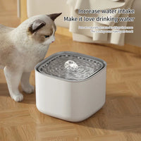 3L Cat Water Fountain with Auto-Recirculating Filter & USB Pump - Quiet Electric Water Dispenser