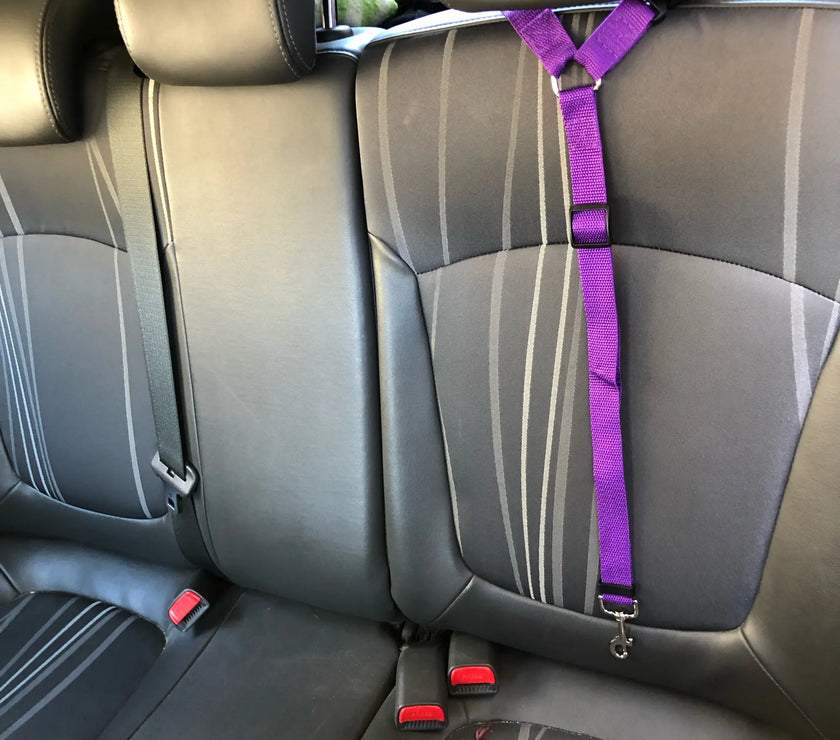 2-in-1 Dog Seat Belt & Leash | Car Safe, Adjustable Harness