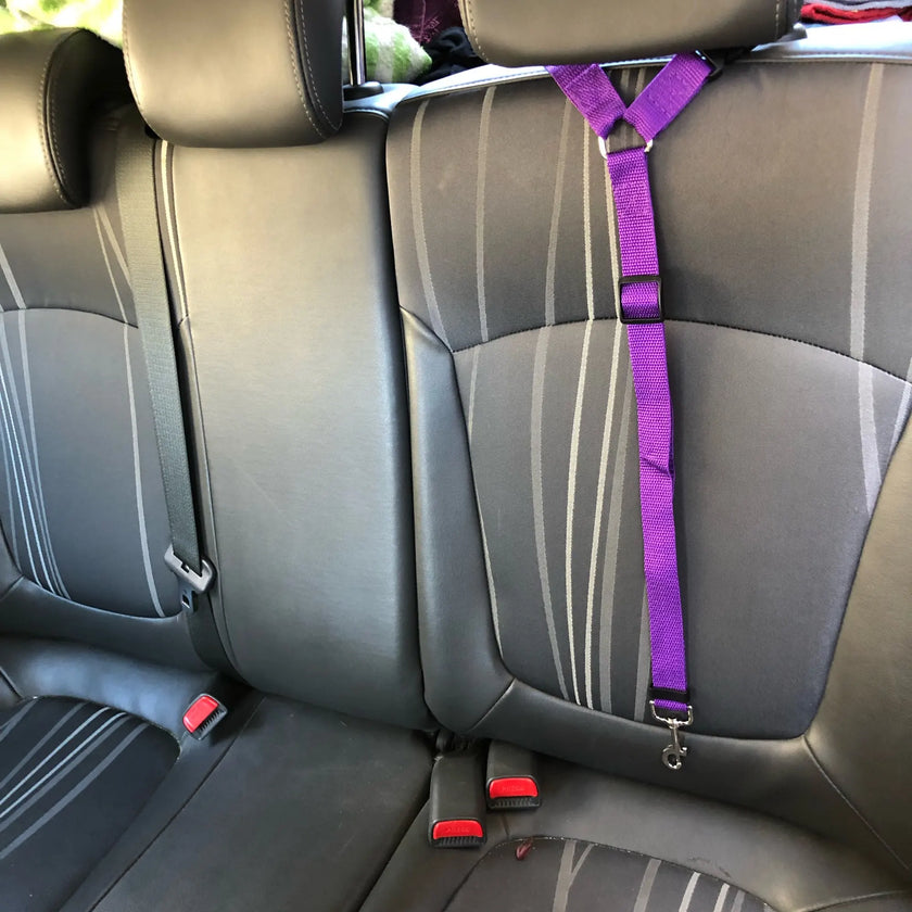 2-in-1 Dog Seat Belt & Leash | Car Safe, Adjustable Harness