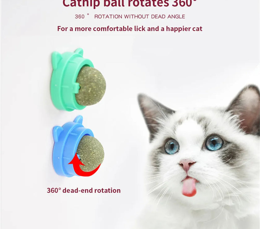 Catnip Wall Ball Cat Toys Pet Toys for Cats Clean Mouth Promote Digestion Kitten Candy Licking Snacks Mint Ball Cat Accessories