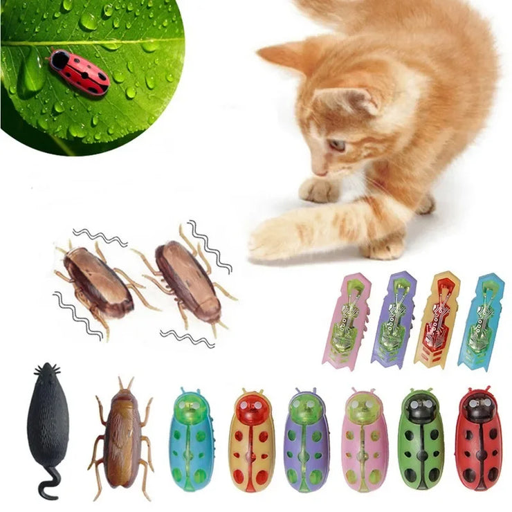 Automatic Cat Toy - Mini Robot Insects