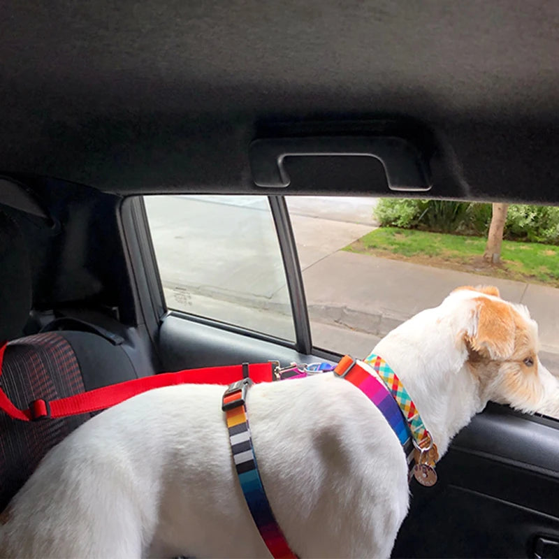 2-in-1 Dog Seat Belt & Leash | Car Safe, Adjustable Harness