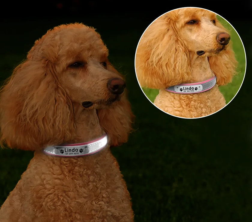 Reflective Pet Dog Custom Collar Adjustable Free Engraved Small Medium Dogs Cats Puppy Kitten Necklace Nameplate ID Tag Collars