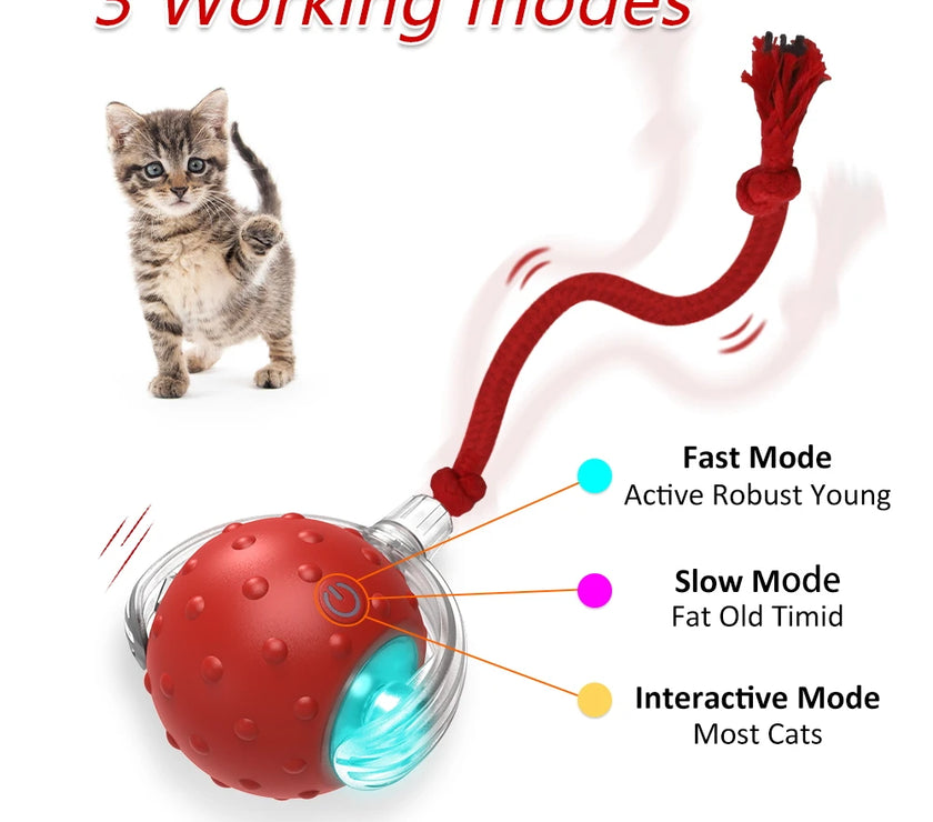 Smart Cat Toy with Motion-Activated Sensor