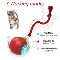 Smart Cat Toy with Motion-Activated Sensor