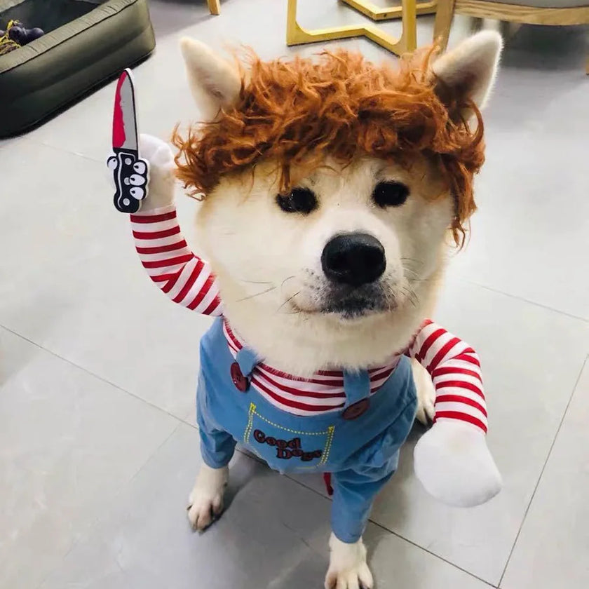 Dog Halloween Cosplay: Chucky the Deadly Doll