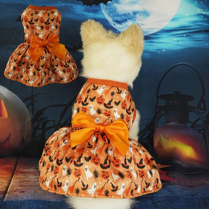 Pumpkin Patch Pup: Festive Halloween Outfits