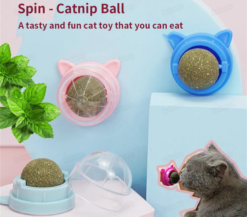 Catnip Wall Ball Cat Toys Pet Toys for Cats Clean Mouth Promote Digestion Kitten Candy Licking Snacks Mint Ball Cat Accessories