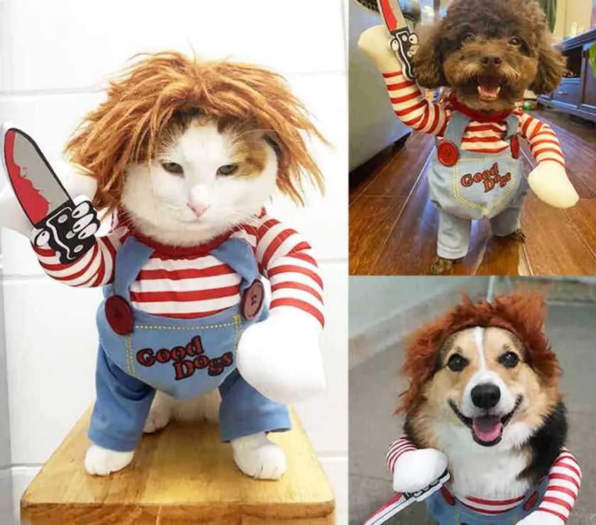 Chucky's Canine Companion: Halloween Costumes