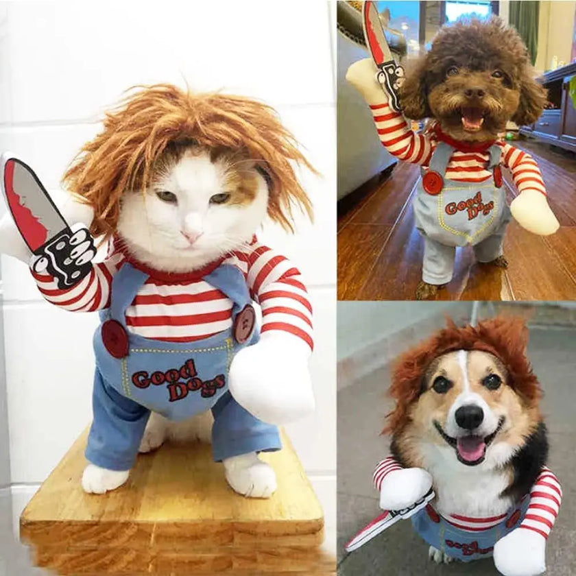 Chucky's Canine Companion: Halloween Costumes