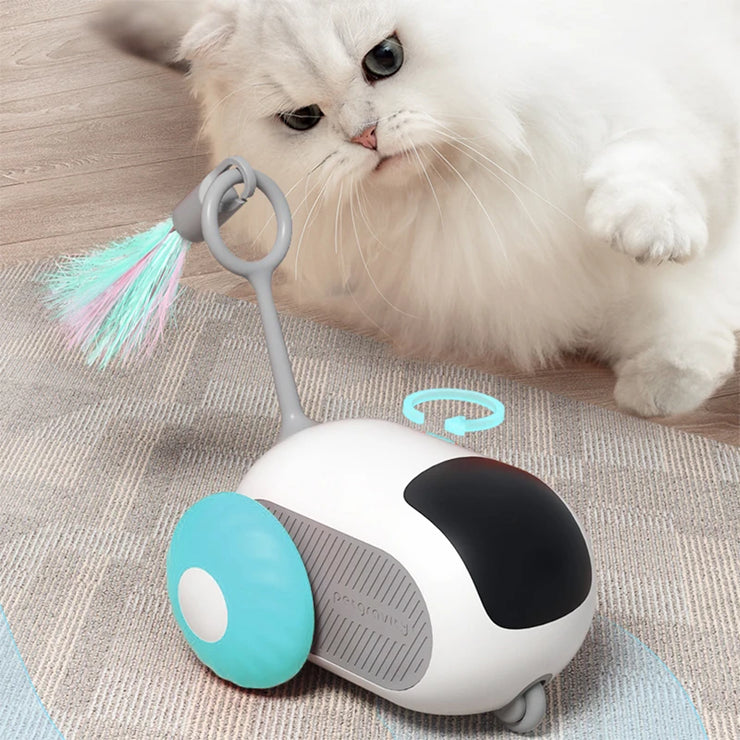 Smart Racing Cat Toy