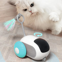 Smart Racing Cat Toy