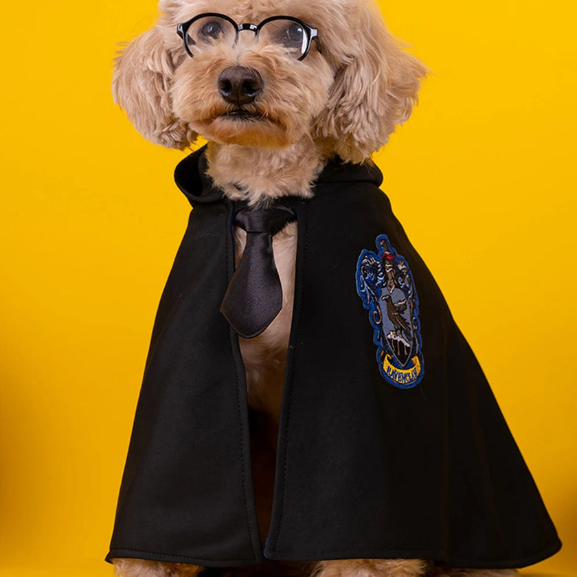 Witchy Ways: Halloween Pet Capes