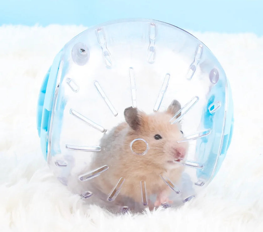 Plastic Outdoor Sport Ball Grounder Rat Small Pet Mice Jogging Ball Toy Hamster Gerbil Exercise Ball Play Toy Small Pet Supplies