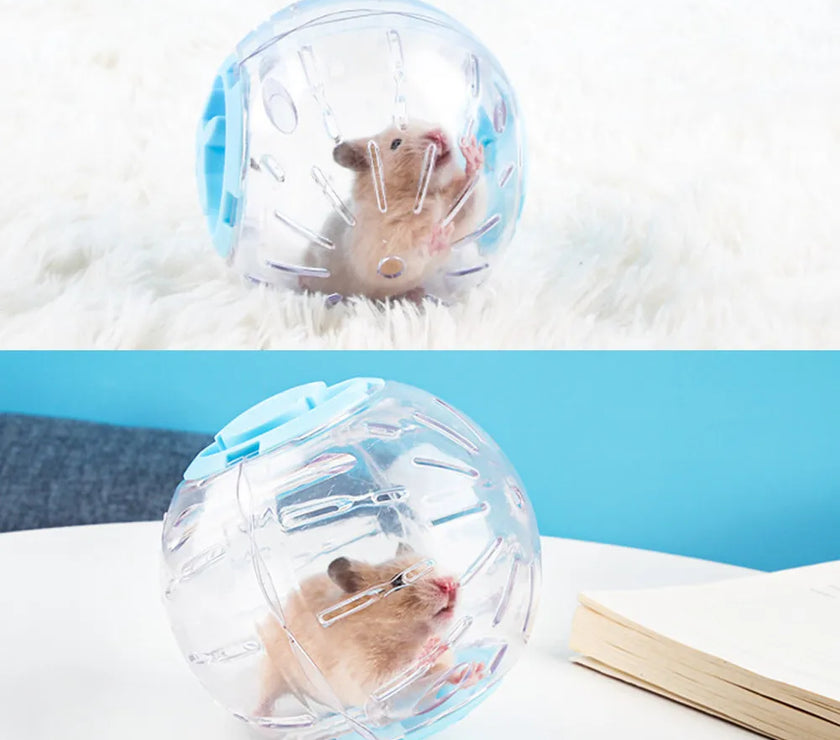 Plastic Outdoor Sport Ball Grounder Rat Small Pet Mice Jogging Ball Toy Hamster Gerbil Exercise Ball Play Toy Small Pet Supplies