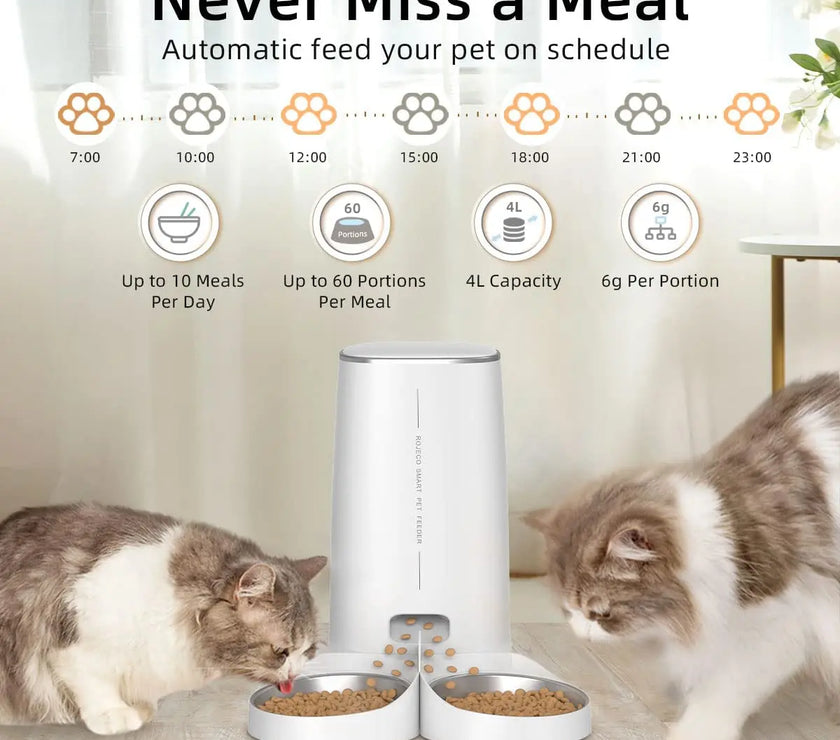 ROJECO Automatic Cat Feeder Pet Smart Cat Food Kibble Dispenser Remote Control WiFi Button Auto Feeder For Cats Dog Accessories