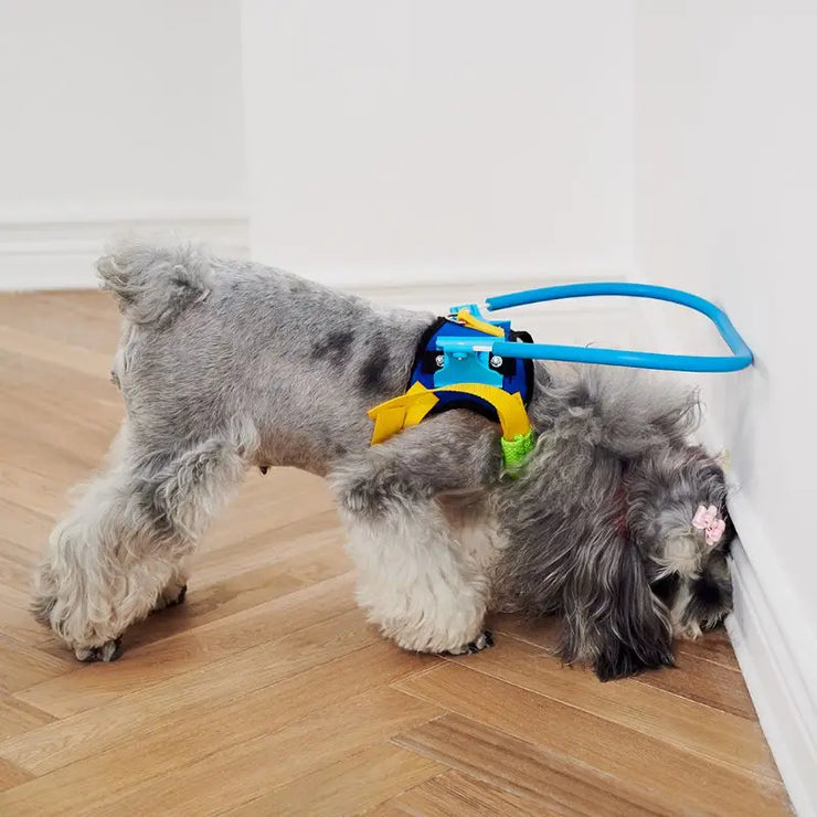 Blind Dog Halo Collar (Anti-Collision) | Safe Walks for All Sizes