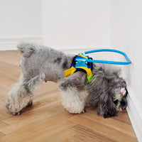 Blind Dog Halo Collar (Anti-Collision) | Safe Walks for All Sizes