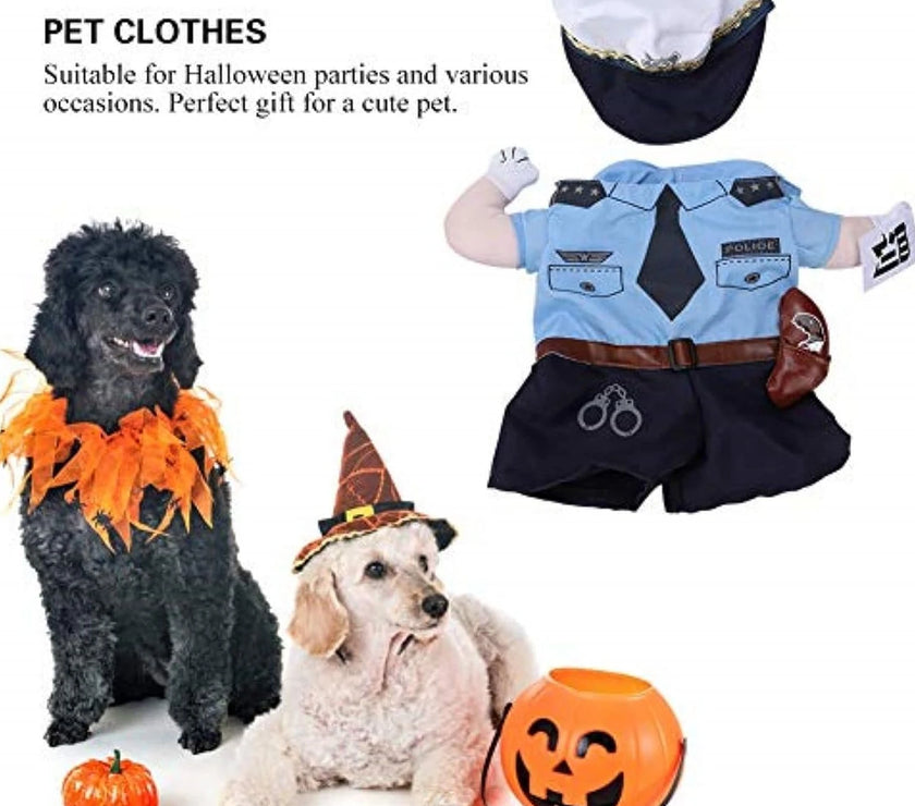 Chucky's Canine Companion: Halloween Costumes