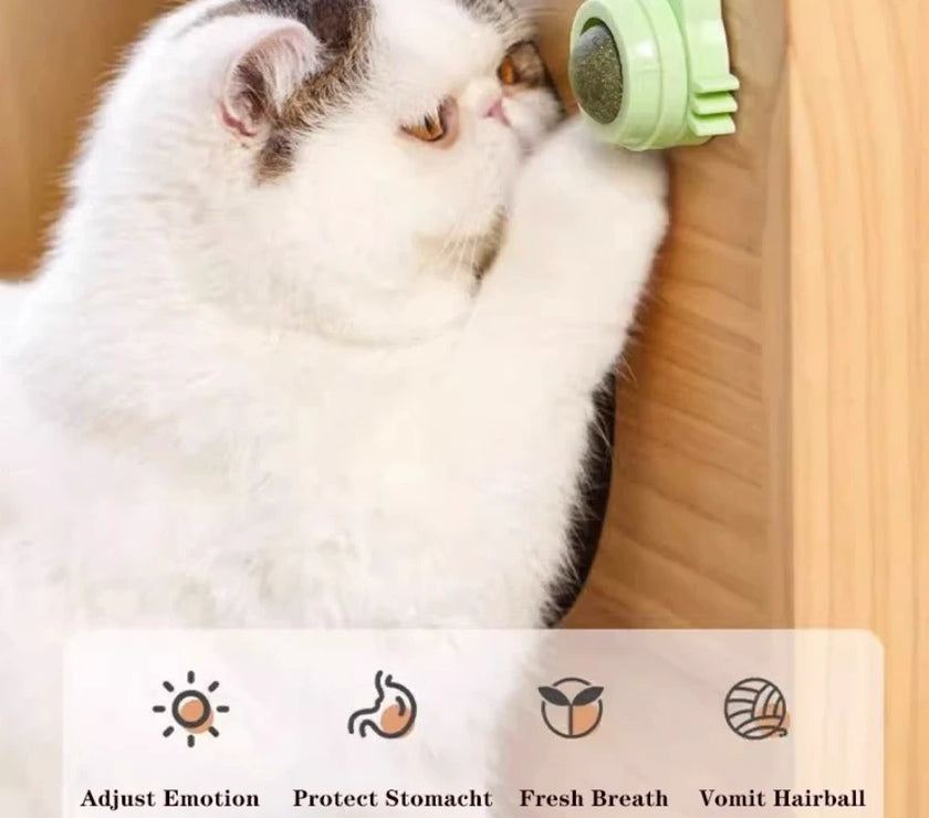 Interactive Cat Toy - Rotatable Catnip Ball