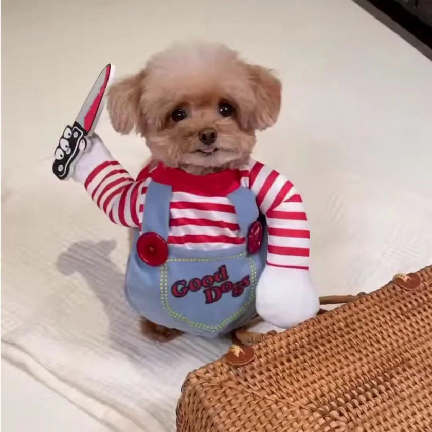 Dog Halloween Cosplay: Chucky the Deadly Doll