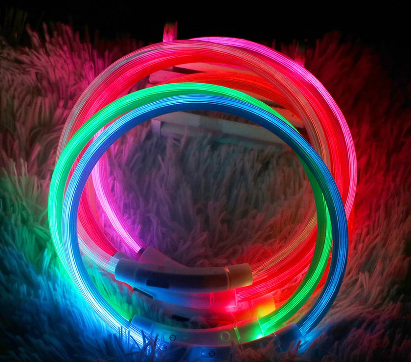 Led Dog Collar Luminous Usb Cat Dog Collar 3 Modes Led Light Glowing Loss Prevention LED Collar For Dogs Pet Dog Accessories