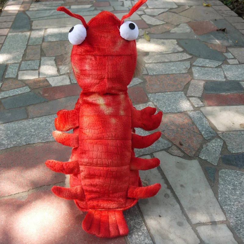 Pet Clothes Halloween Lobster Transformation Cats and Dogs Costumes Teddy Corgi Autumn and Winter New Dog Costumes Wholesale