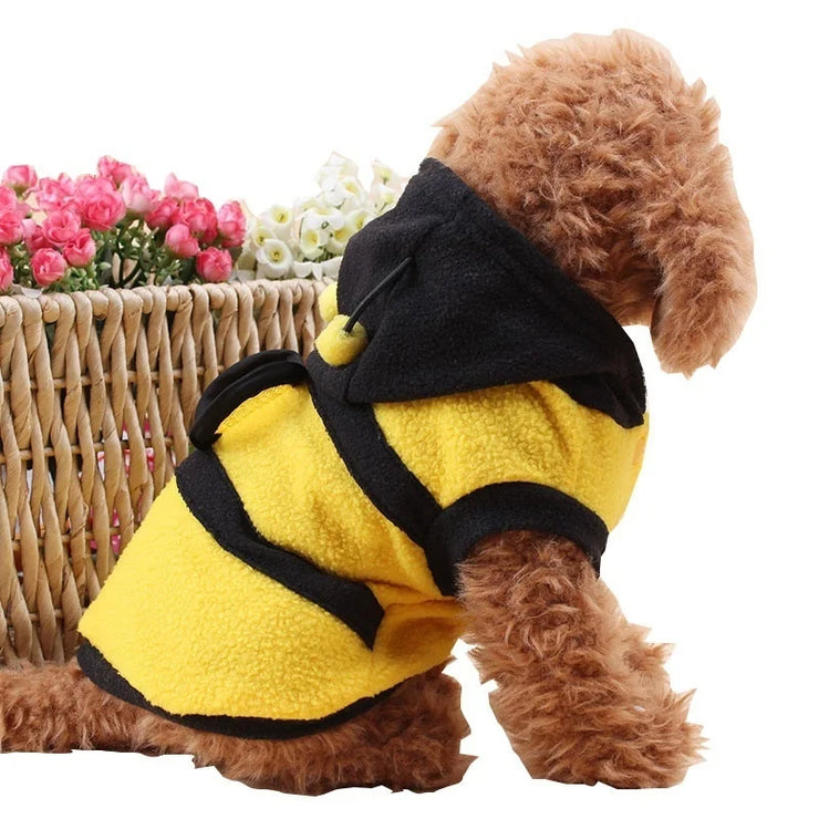 Buzzing with Style: Bee-themed Pet Coats