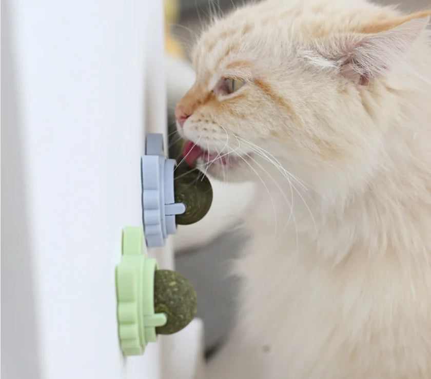 Interactive Cat Toy - Rotatable Catnip Ball