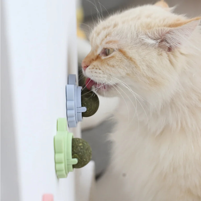 Interactive Cat Toy - Rotatable Catnip Ball