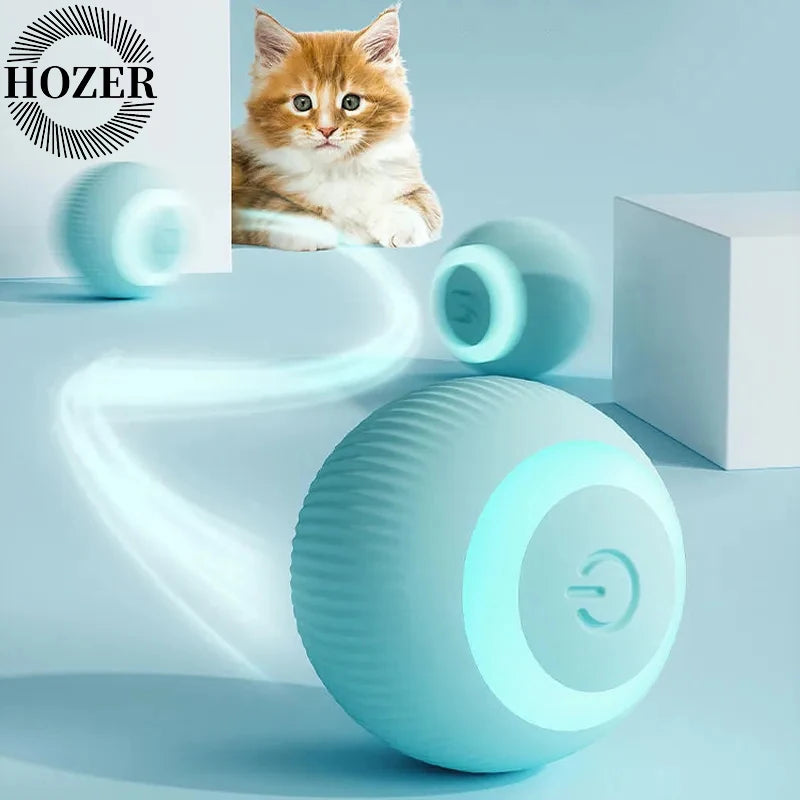 Interactive Magic Ball Cat Toy