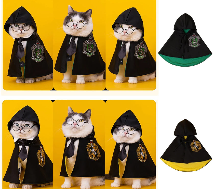 Witchy Ways: Halloween Pet Capes