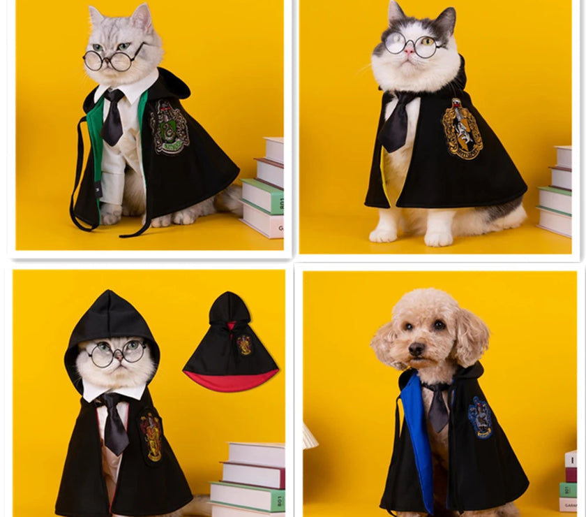 Witchy Ways: Halloween Pet Capes